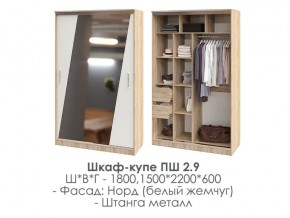 шкаф-купе ПШ-2.9 1500 Норд Белый жемчуг 1500 в Заречном - zarechnyj.magazin-mebel74.ru | фото